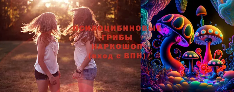 Псилоцибиновые грибы Psilocybine cubensis  ссылка на мегу зеркало  Руза  купить  